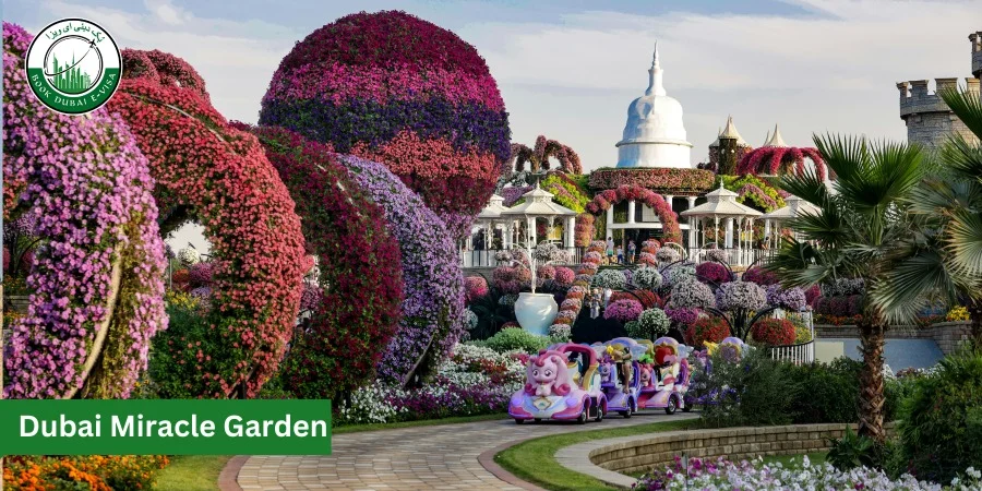 Dubai  Miracle Garden
