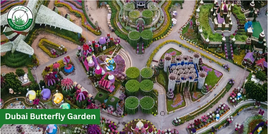 Dubai Butterfly Garden