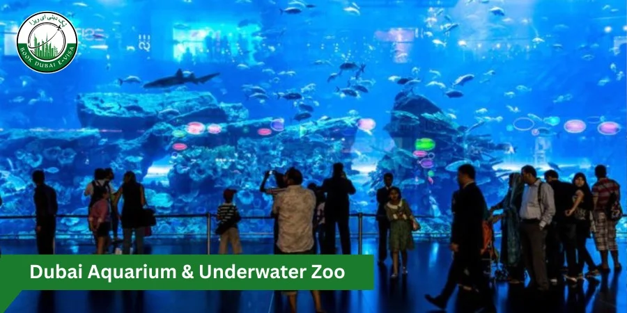 Dubai Aquarium & Underwater Zoo