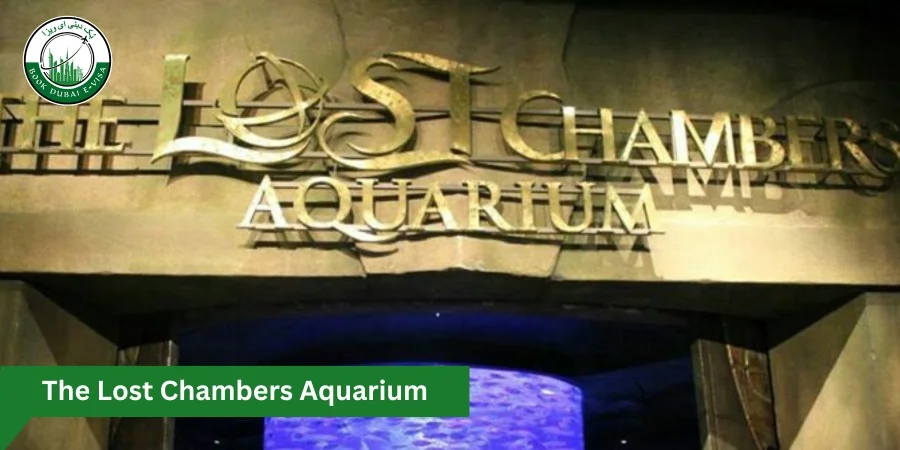 The Lost Chambers Aquarium