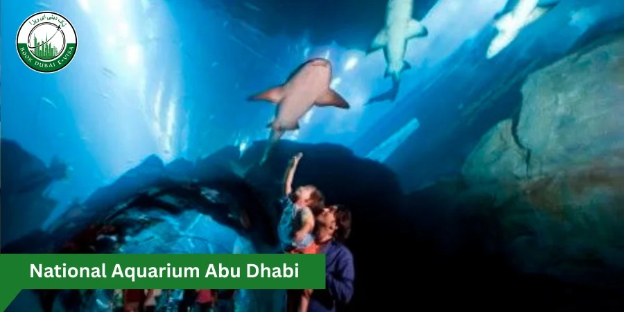 National Aquarium Abu Dhabi