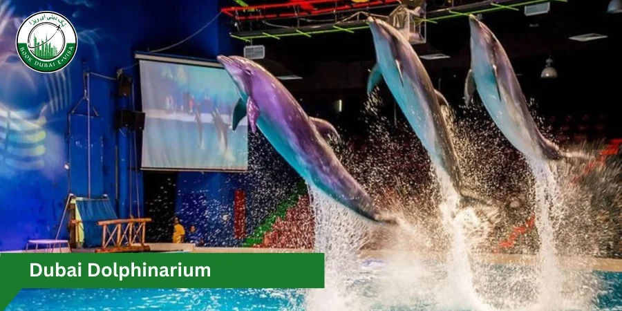 Dubai Dolphinarium