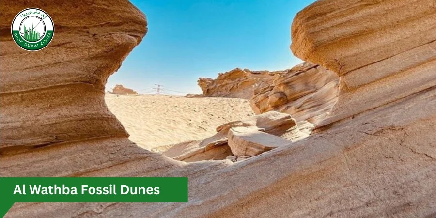 Al Wathba Fossil Dunes